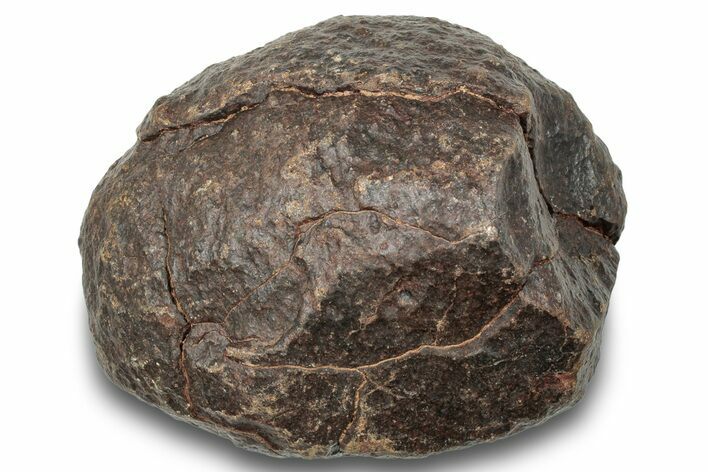 Chondrite Meteorite ( g) - Western Sahara Desert #247559